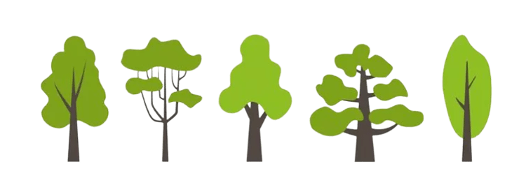 Family Plan of Tree